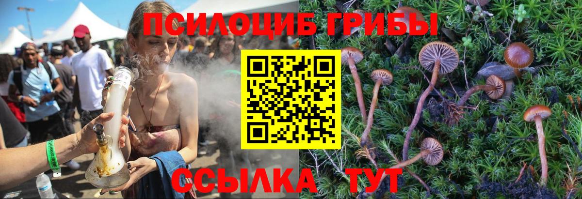 Галлюциногенные грибы ЛСД Жигулёвск